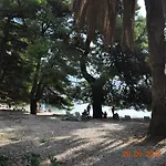 Zupa Dubrovacka Mlini