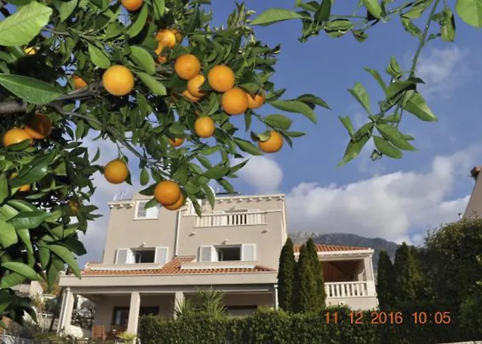 Zupa Dubrovacka 3*