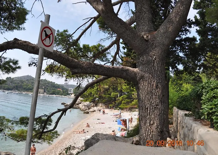 Zupa Dubrovacka Casa de hóspedes