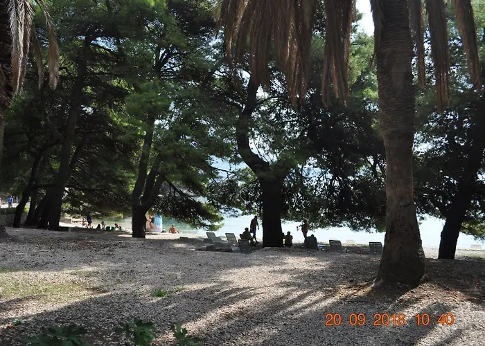 Zupa Dubrovacka Mlini