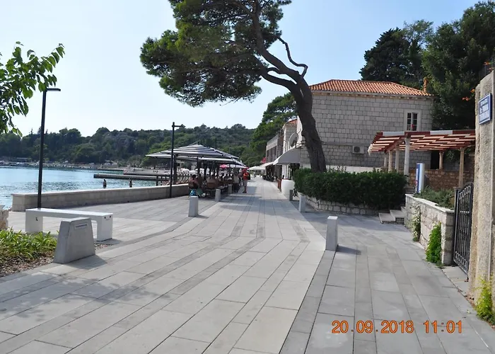 Zupa Dubrovacka 3*